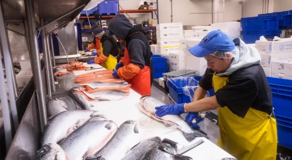 Best Seafood Wholesaler in NY